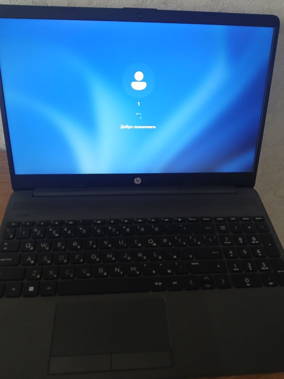 Ноутбук HP 255 G8