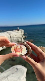 Мини-альбом в ракушке для рисования и заметок
