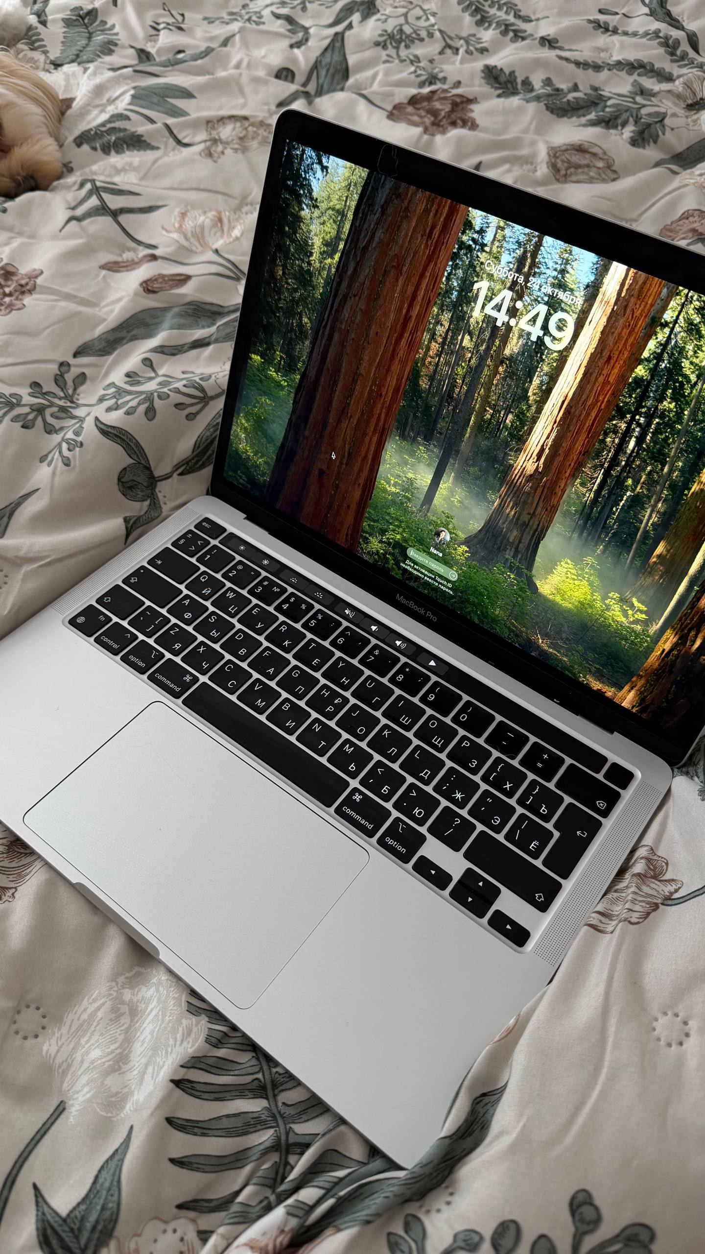 MacBook Pro 13" M1 (2020) с Touch Bar