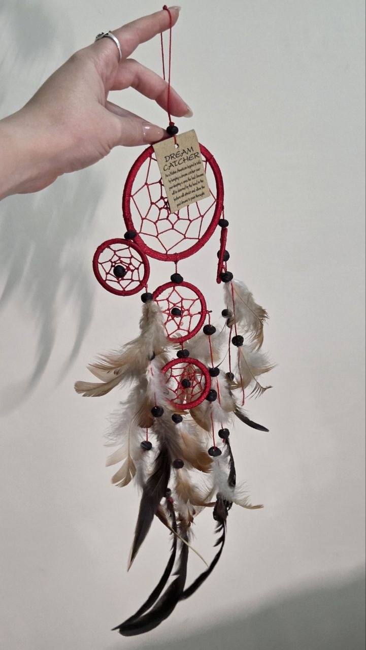 Ловец снов (Dream Catcher)