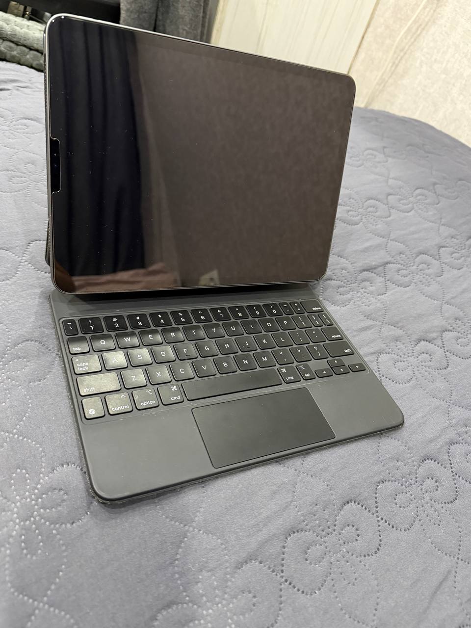 Apple iPad Pro 11 (2-го поколения) + Magic Keyboard