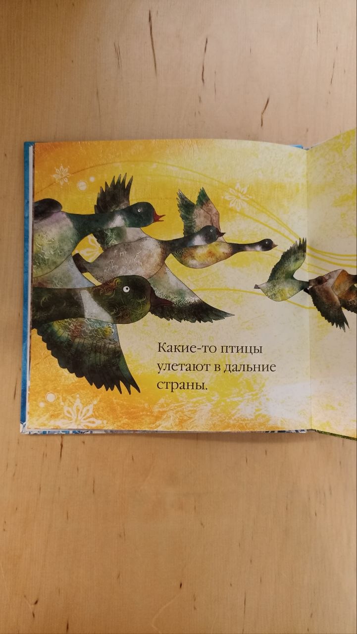 Книга «Бр-р-р-р-р. Зимняя книжка» Иль Сунг На