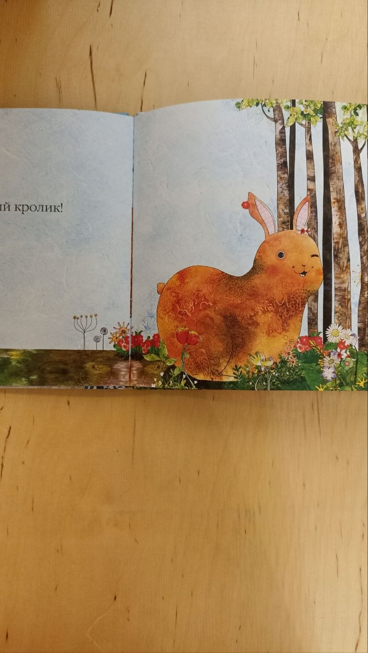 Книга «Бр-р-р-р-р. Зимняя книжка» Иль Сунг На