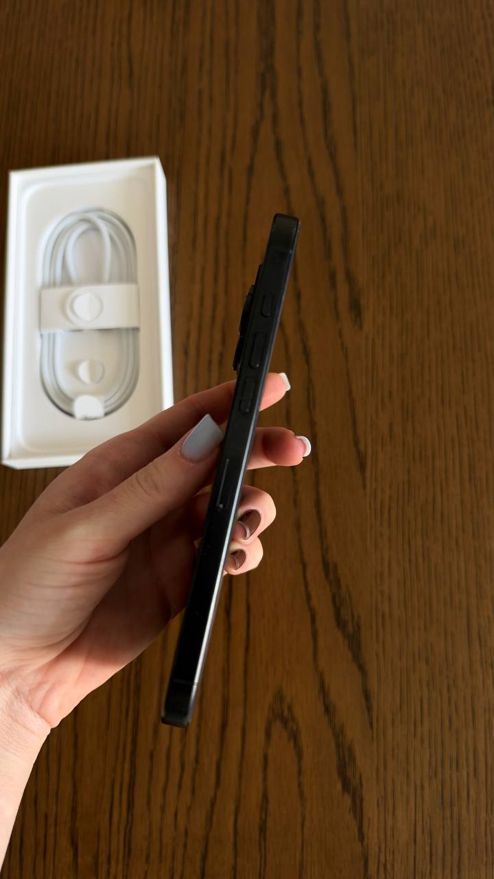 iPhone 16 Pro Max 256 ГБ
