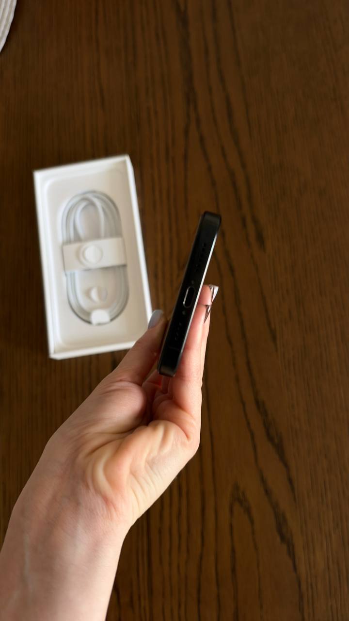 iPhone 16 Pro Max 256 ГБ