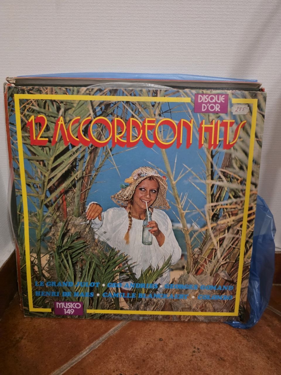 12 Accordeon Hits (виниловая пластинка)