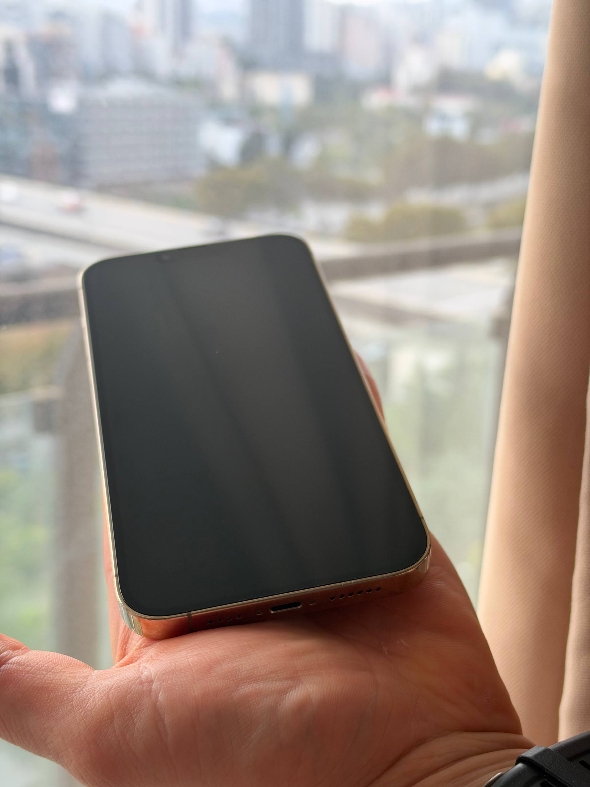 iPhone 13 Pro Max 256 GB Gold