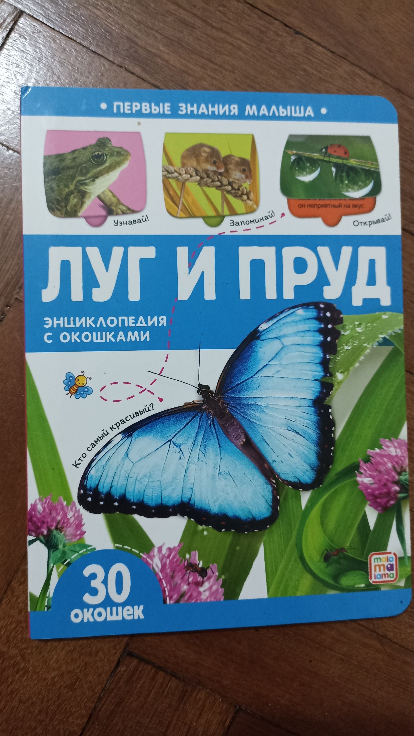 Книга с окошками «Луг и пруд»