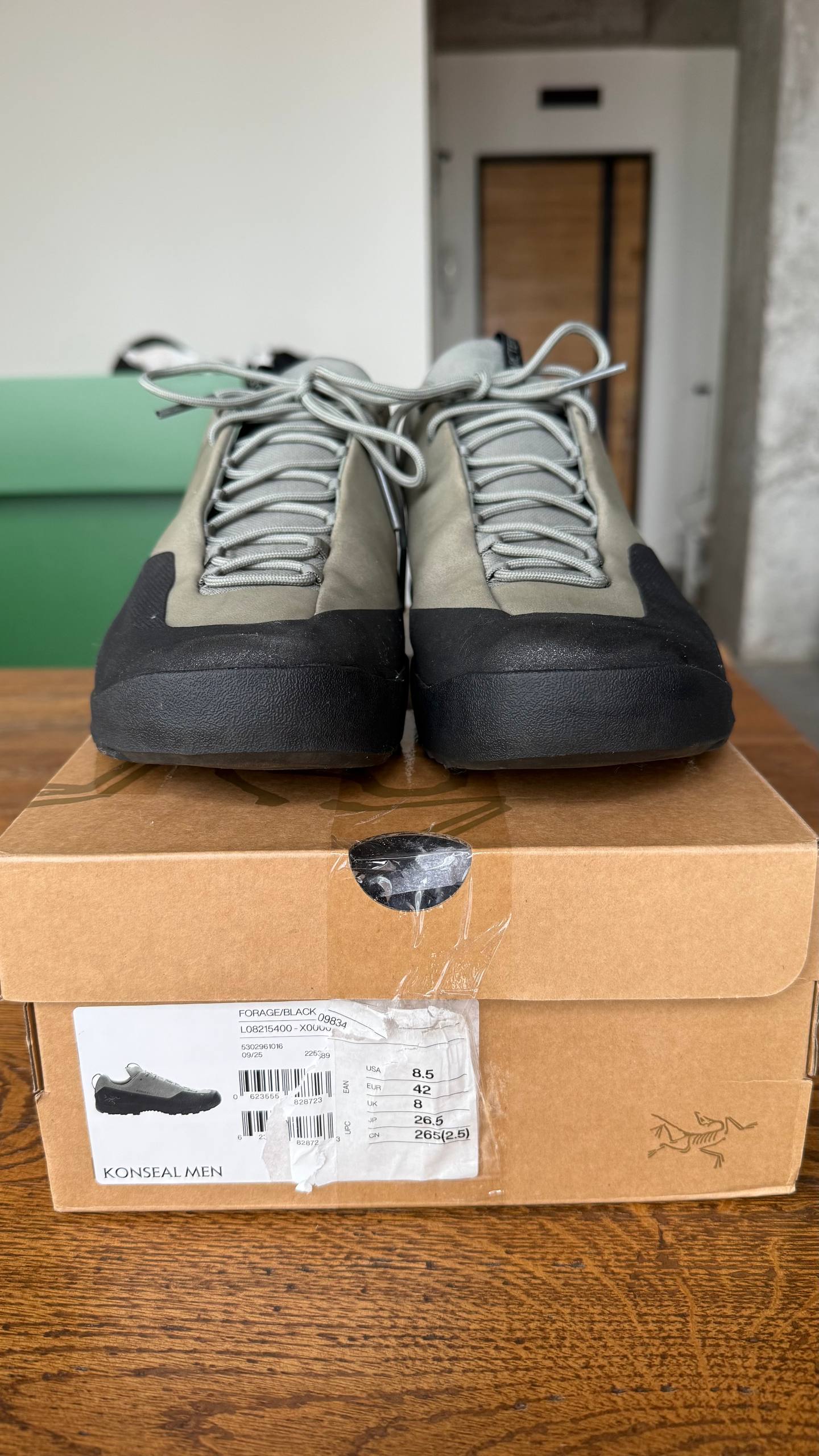 Трекинговые кроссовки Arc'teryx Konseal, EU 42