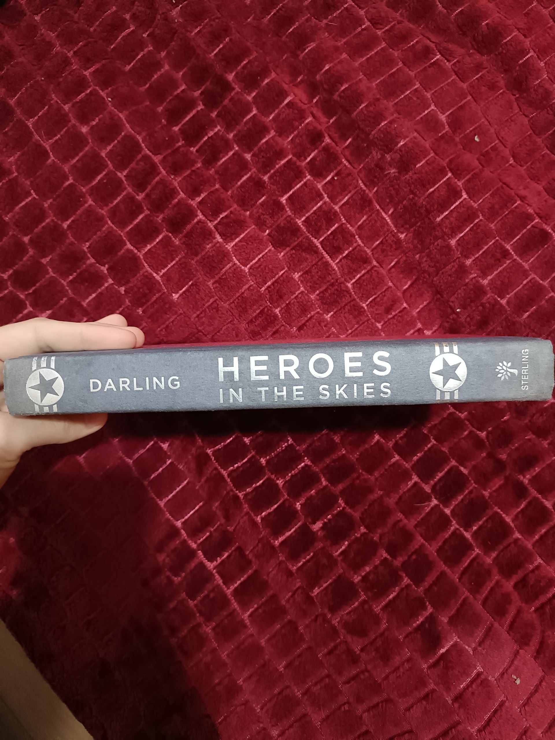 Книга «Heroes in the Skies: American Aviators in World War II» (Ian Darling)