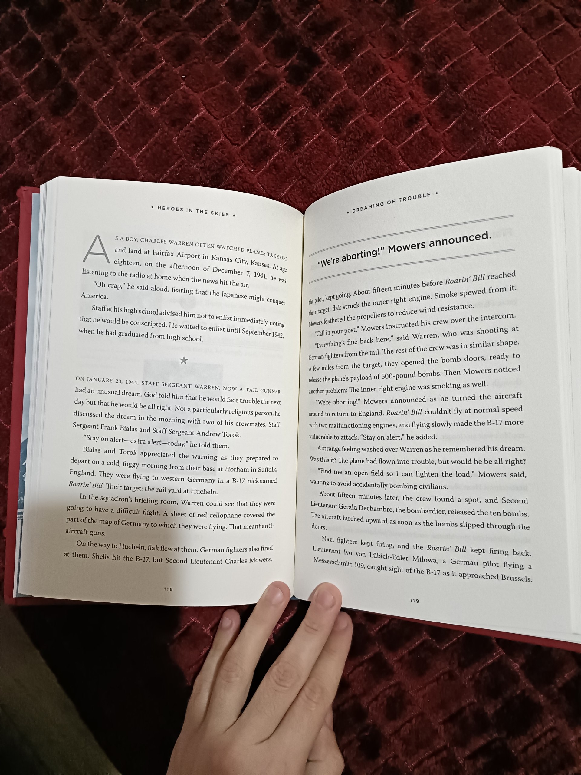 Книга «Heroes in the Skies: American Aviators in World War II» (Ian Darling)