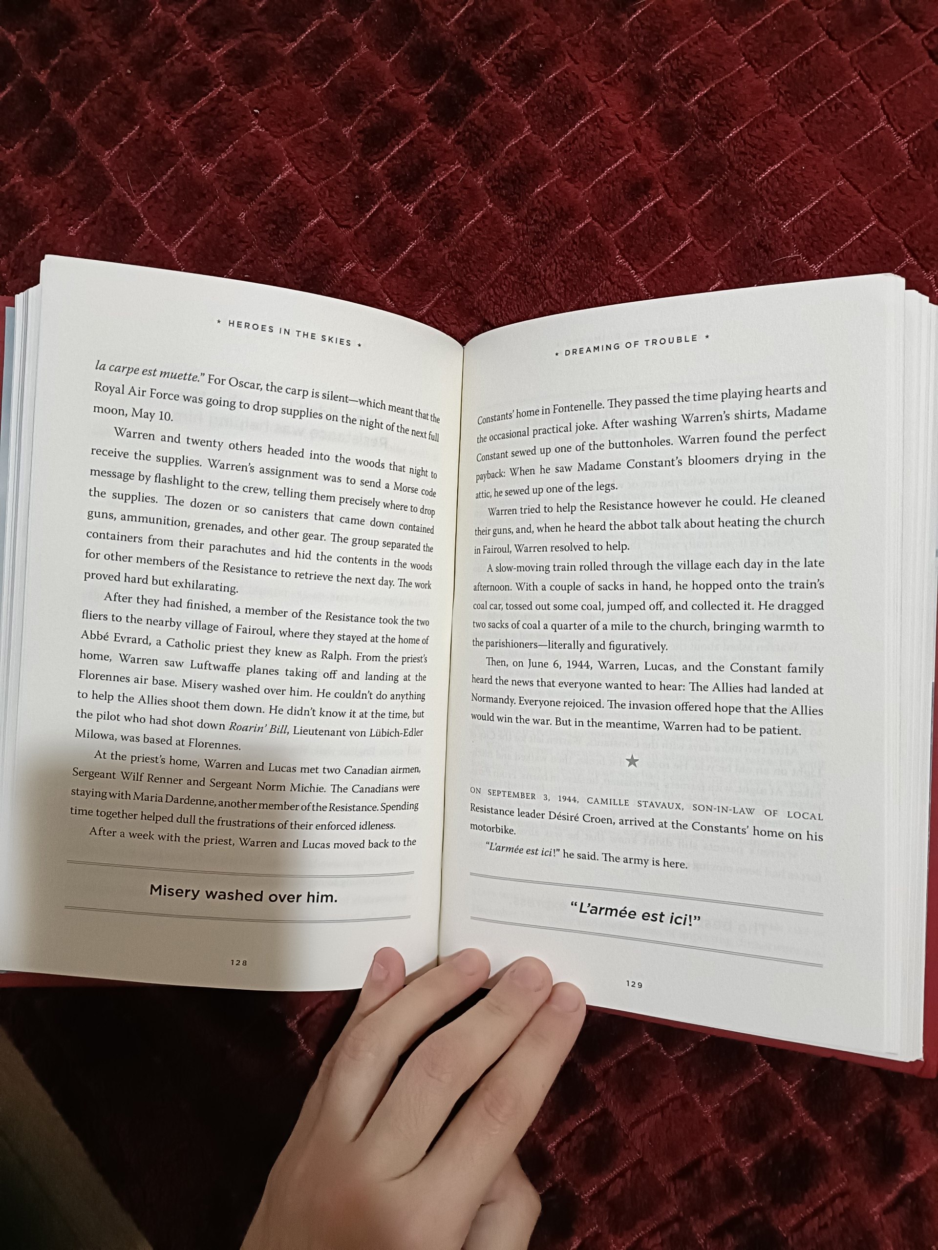 Книга «Heroes in the Skies: American Aviators in World War II» (Ian Darling)