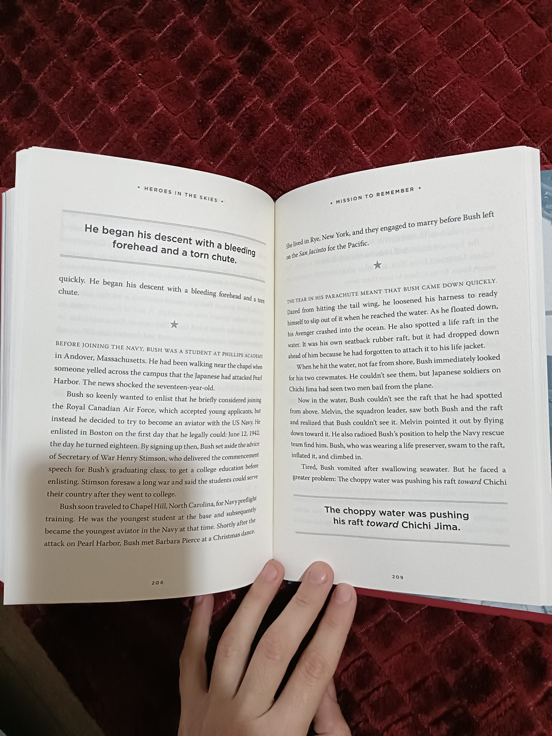 Книга «Heroes in the Skies: American Aviators in World War II» (Ian Darling)