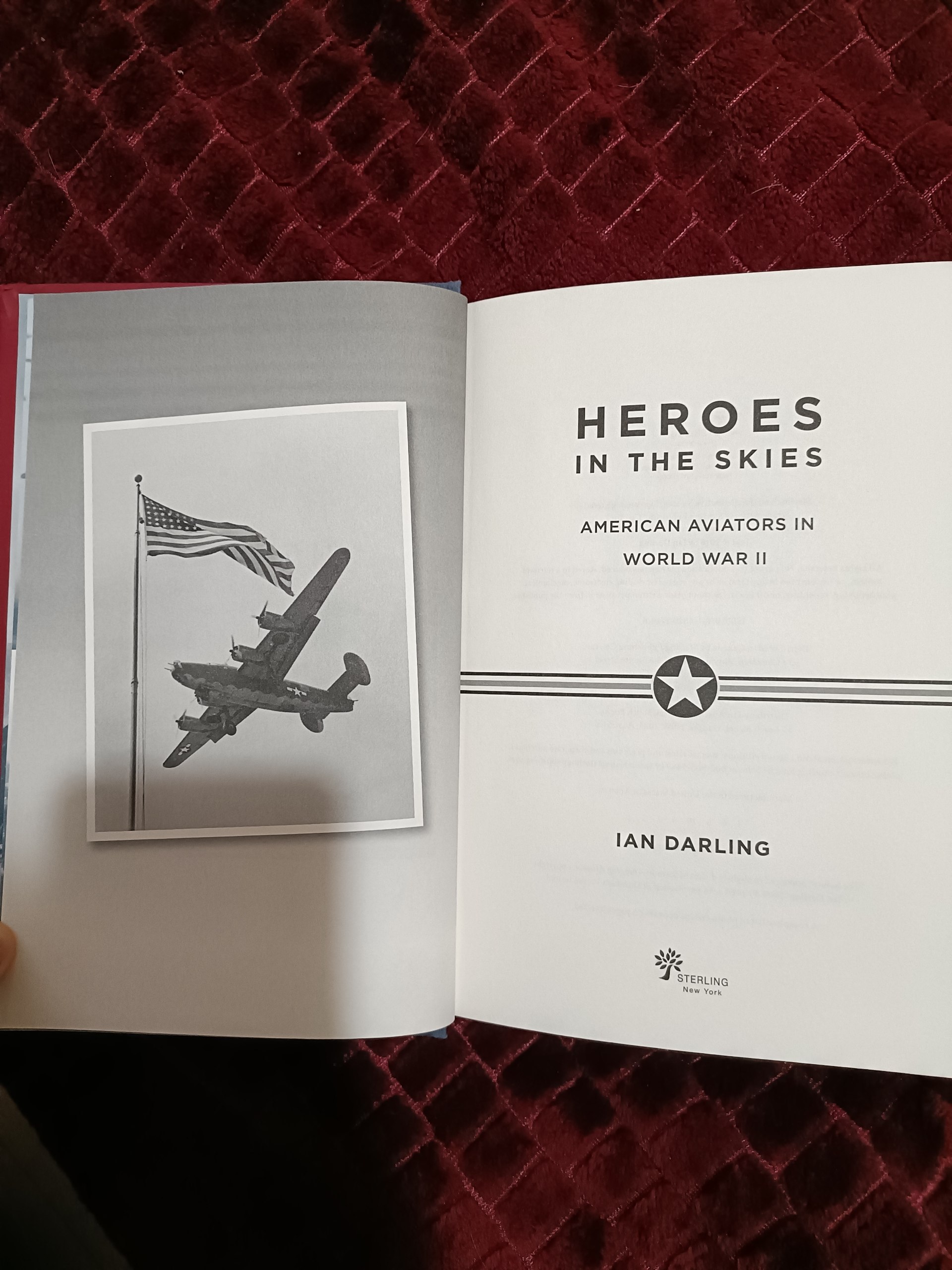 Книга «Heroes in the Skies: American Aviators in World War II» (Ian Darling)