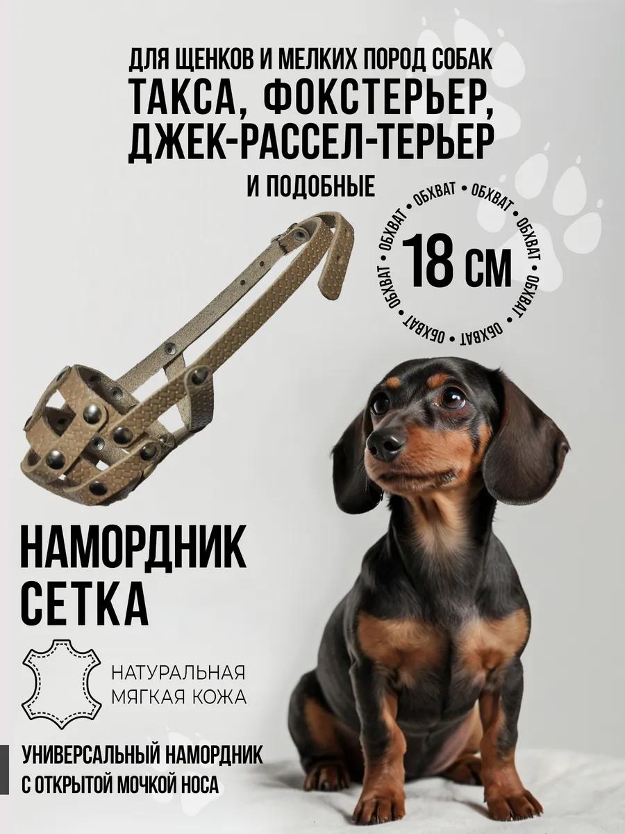 Намордник для собак