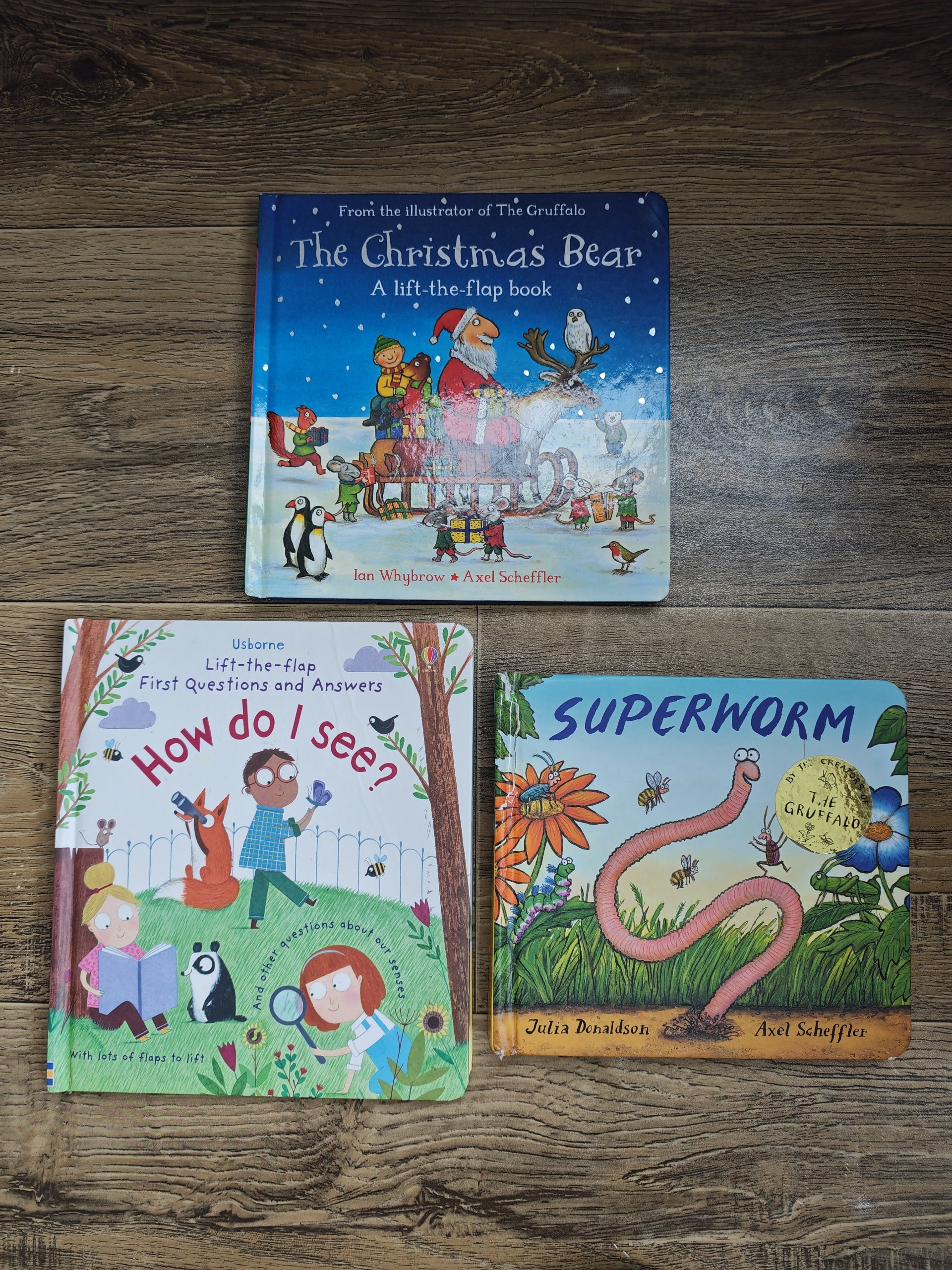Набор из 3 детских книг Usborne: How Do I See?, The Christmas Bear, Superworm