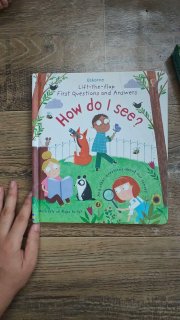 Набор из 3 детских книг Usborne: How Do I See?, The Christmas Bear, Superworm