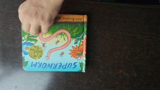 Набор из 3 детских книг Usborne: How Do I See?, The Christmas Bear, Superworm
