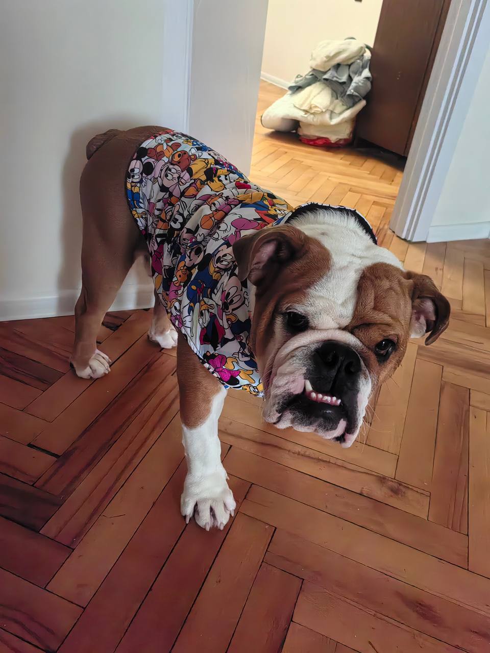 Куртка для собак 15-25 кг