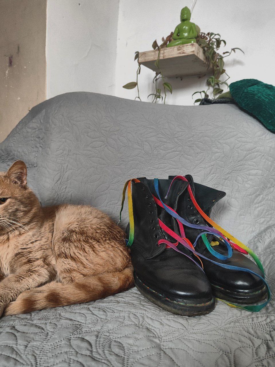 Ботинки Dr. Martens с радужной строчкой и шнурками, р. 42