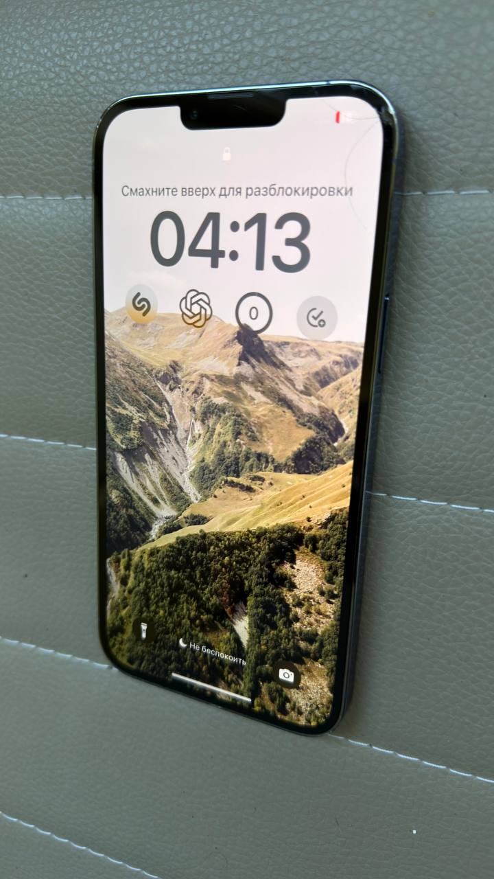 iPhone 13 Pro Max