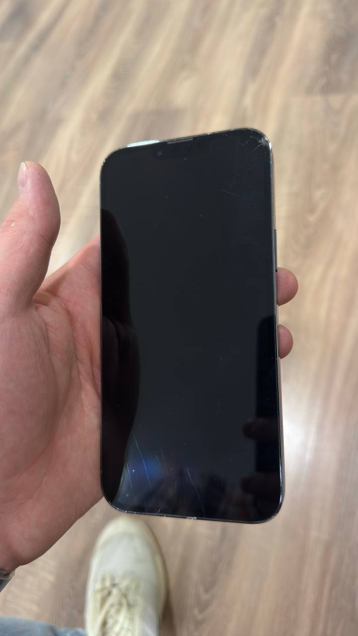iPhone 13 Pro Max