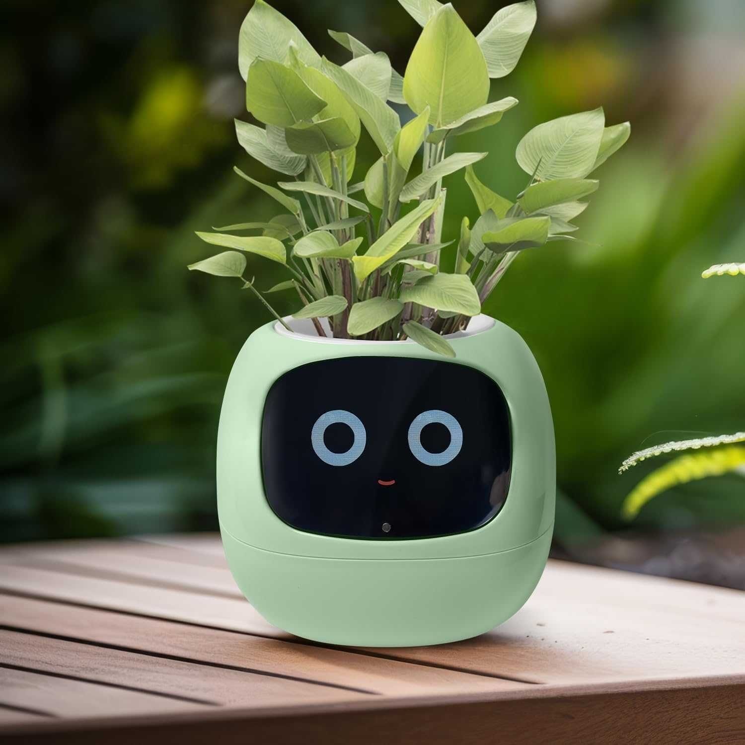Ivy Plantsio — умный горшок с автополивом и приложением