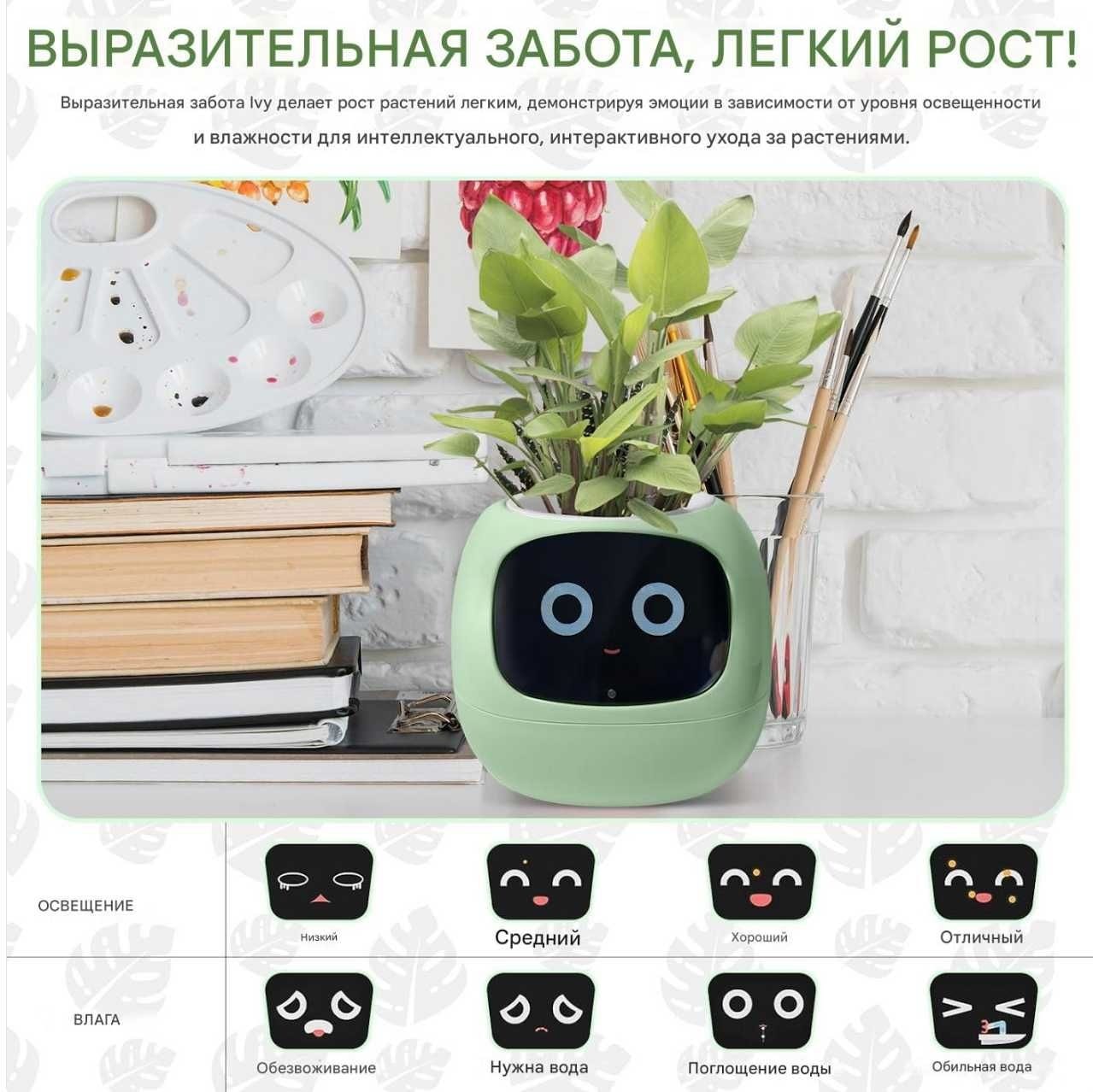 Ivy Plantsio — умный горшок с автополивом и приложением